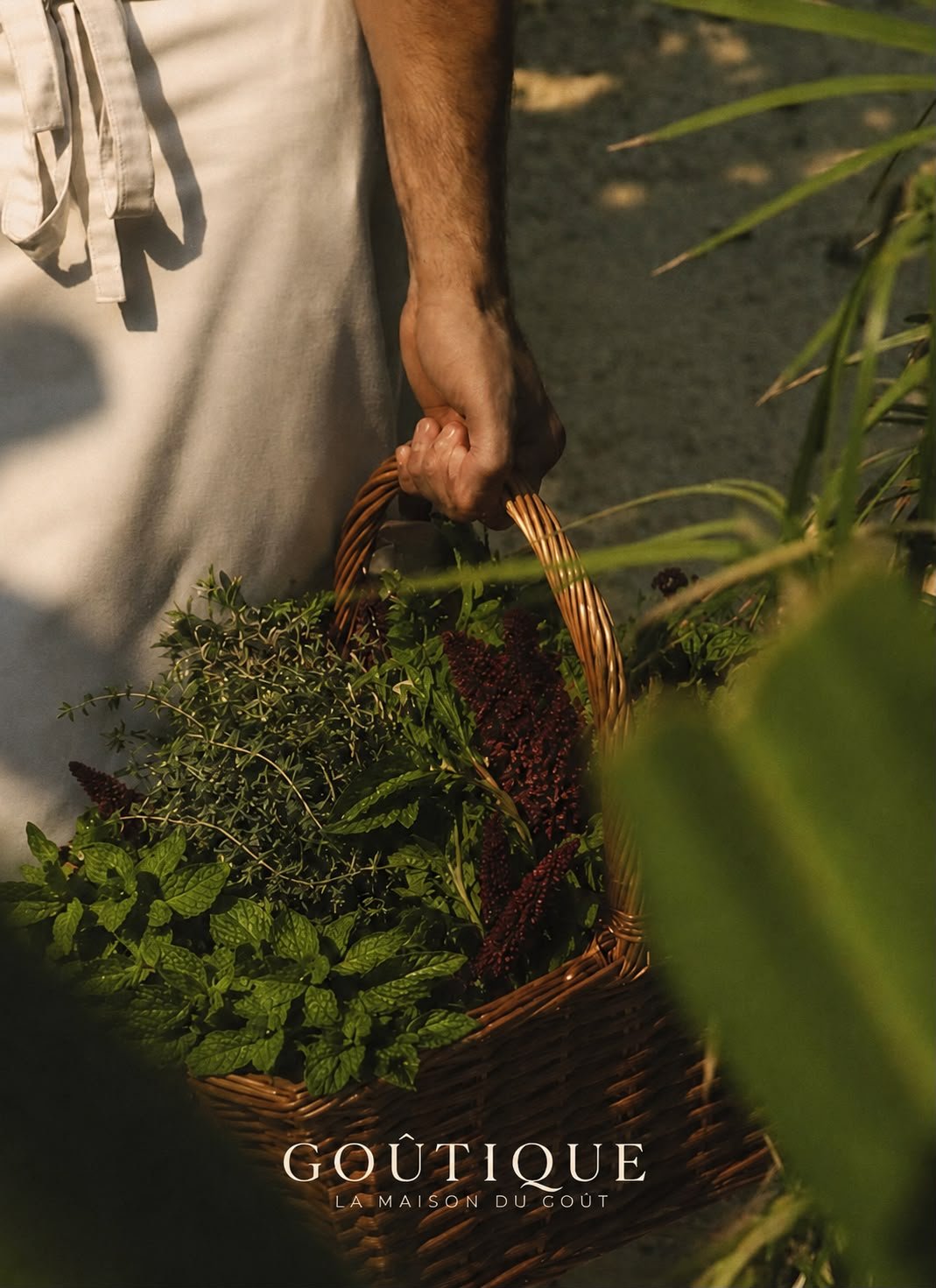 Fresh herbs picked into a basket for Go&ucirc;tique